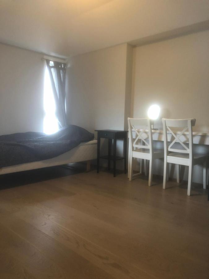 Penthouse Sentralt I Oslo Apartment Exterior foto